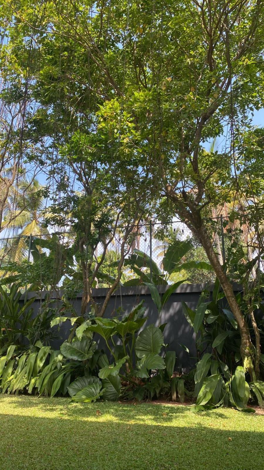 Lush Ayu Villa Ja-Ela Dış mekan fotoğraf
