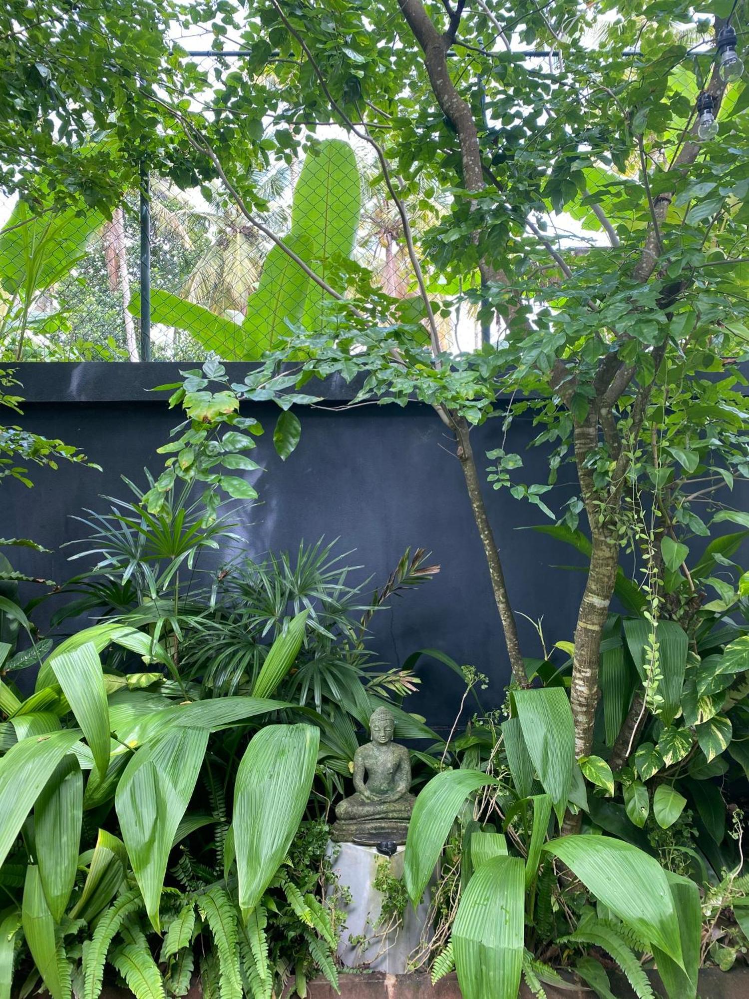 Lush Ayu Villa Ja-Ela Dış mekan fotoğraf